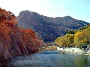 澳门二四六天天彩图库，蜂花前清茶价格